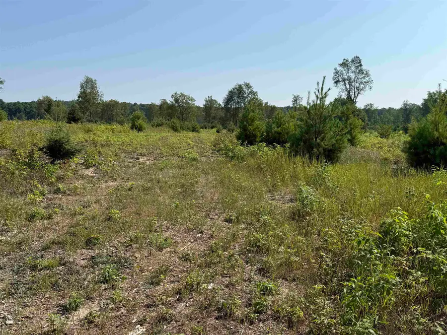 Parcel A7 S Bright RD, Kasson, MI 49664 - #2