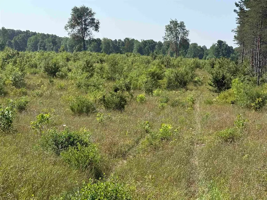 Parcel A1 E Kasson RD, Kasson, MI 49664 - #2