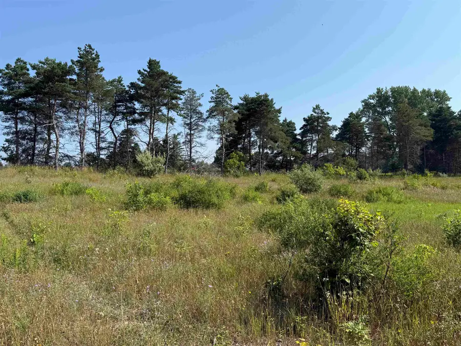 Parcel A1 E Kasson RD, Kasson, MI 49664 - #3