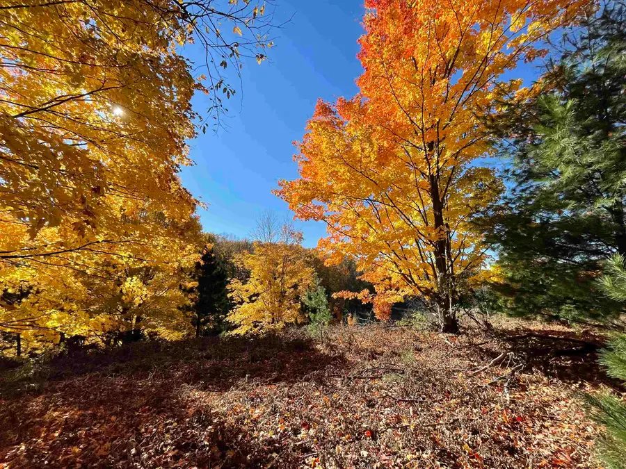 3037 Dockery Road, Williamsburg, MI 49690 - #3