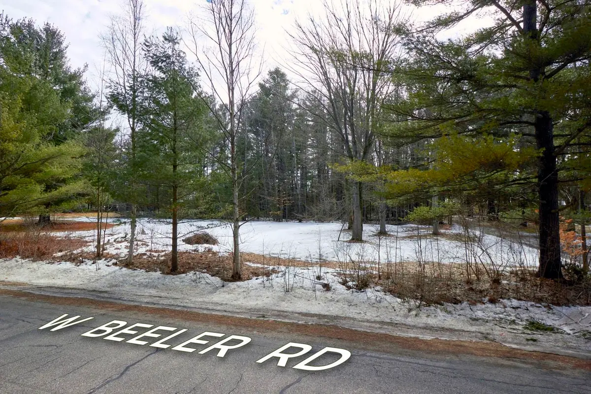 Taxiway Foxtrot, Reeder, MI 49651 - #1