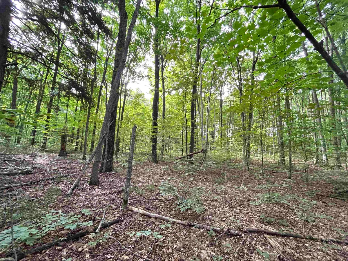 000 Langs, Interlochen, MI 49643 - #1
