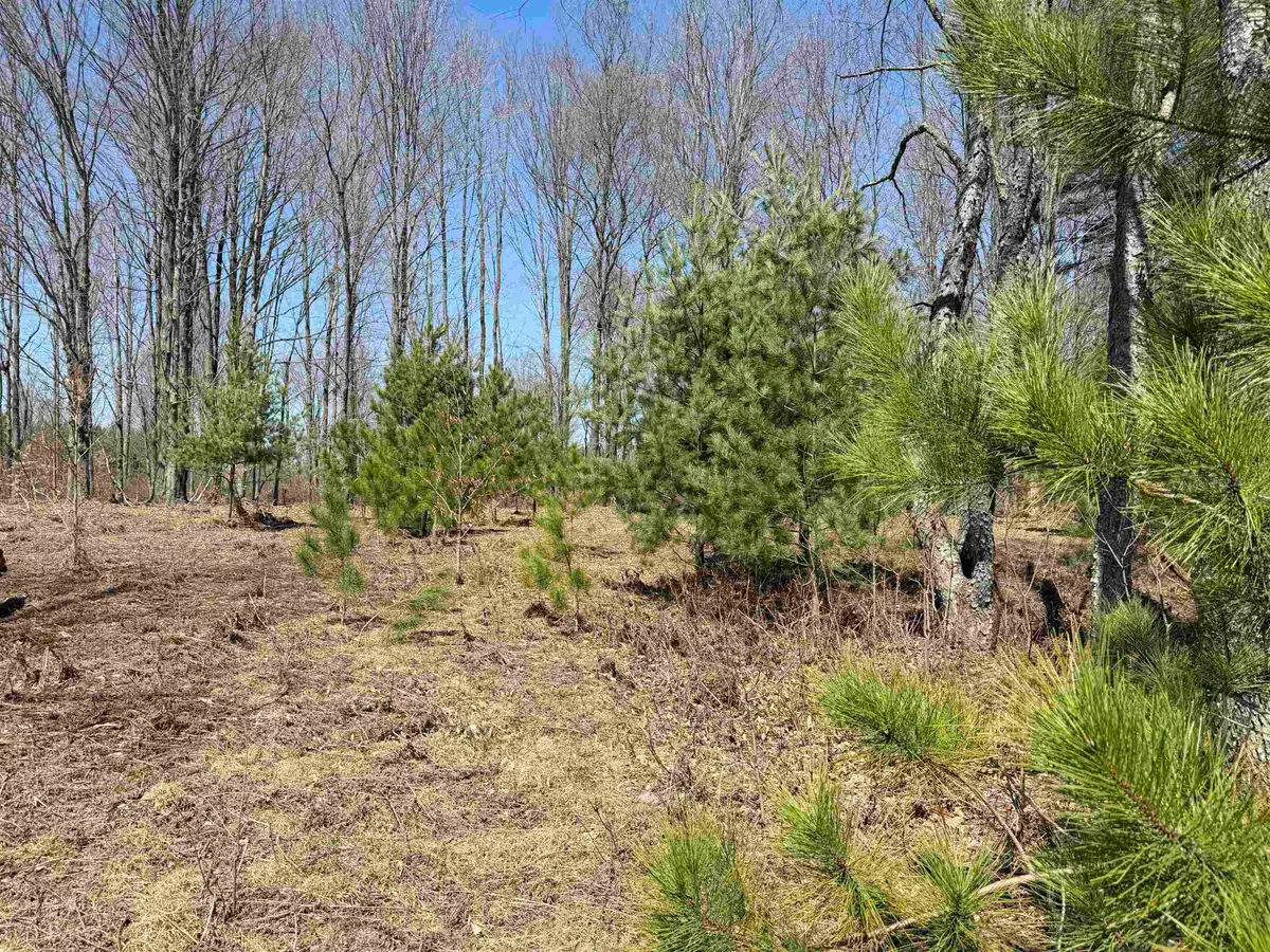 00 Landis, Thompsonville, MI 49683 - #1