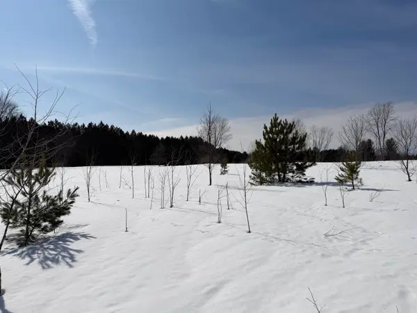 00 Landis RD, Thompsonville, MI 49683