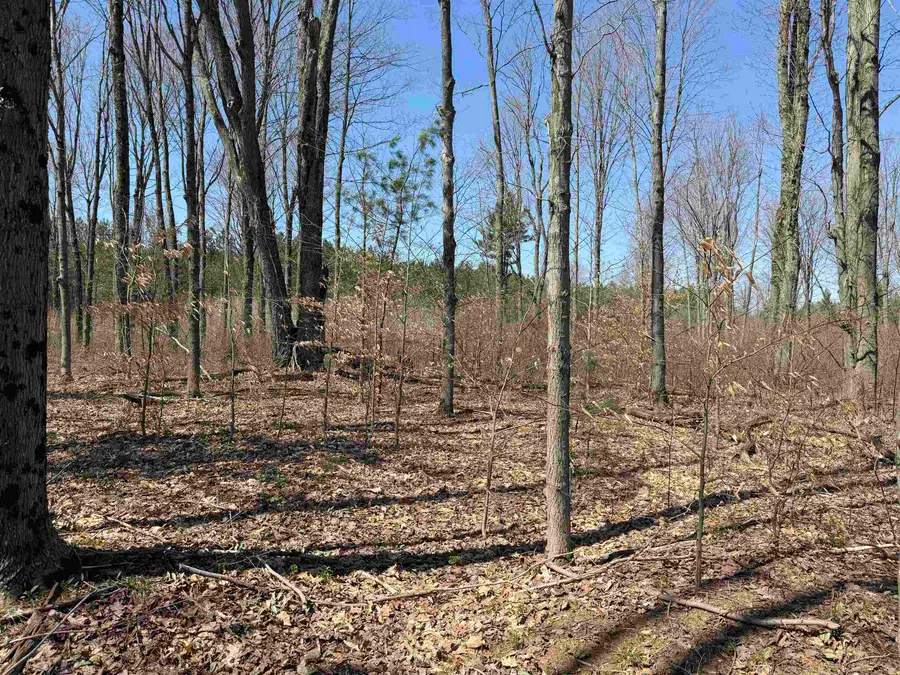 00 Landis, Thompsonville, MI 49683 - #2