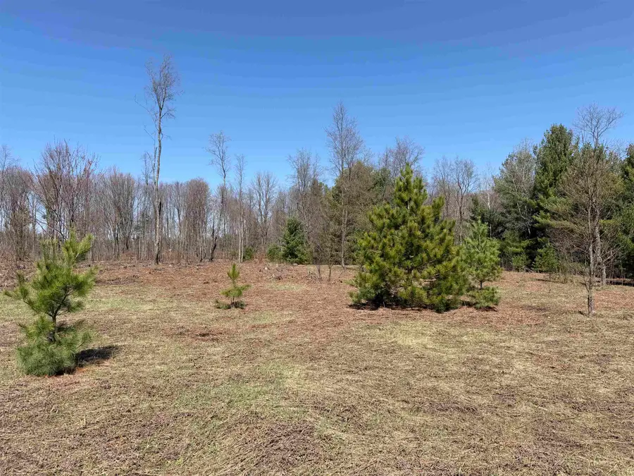00 Landis, Thompsonville, MI 49683 - #3