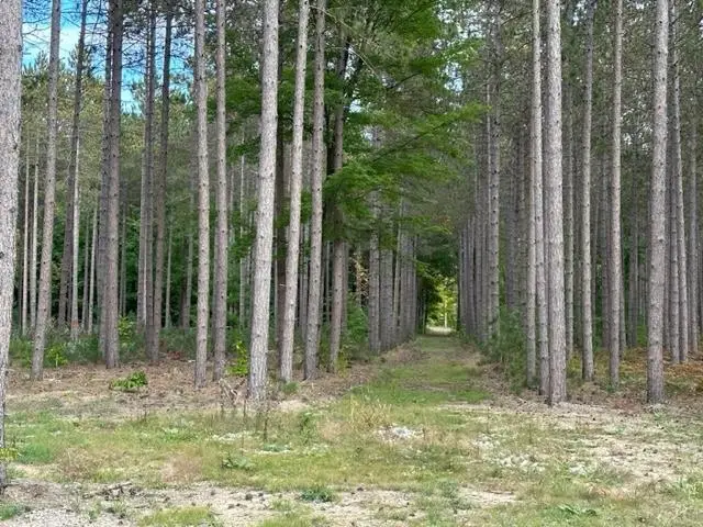 Lot 49 Cascade, Long Lake, MI 49685 - #3