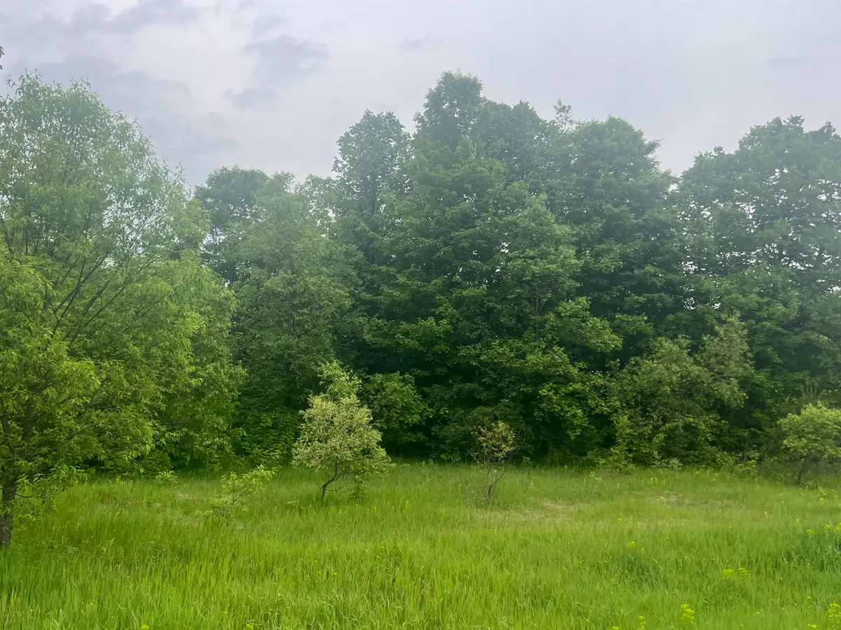 00 Wood Road, Kalkaska, MI 49646 - #1