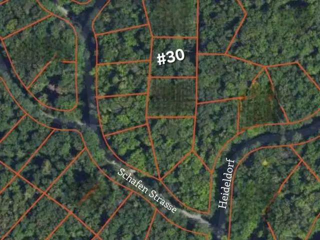 30 Heideldorf DR, Bellaire, MI 49615 - #2