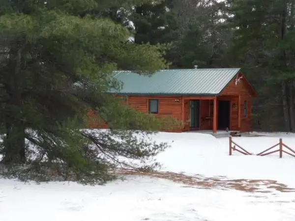 9607 Caddis, FifeLake, MI 49633