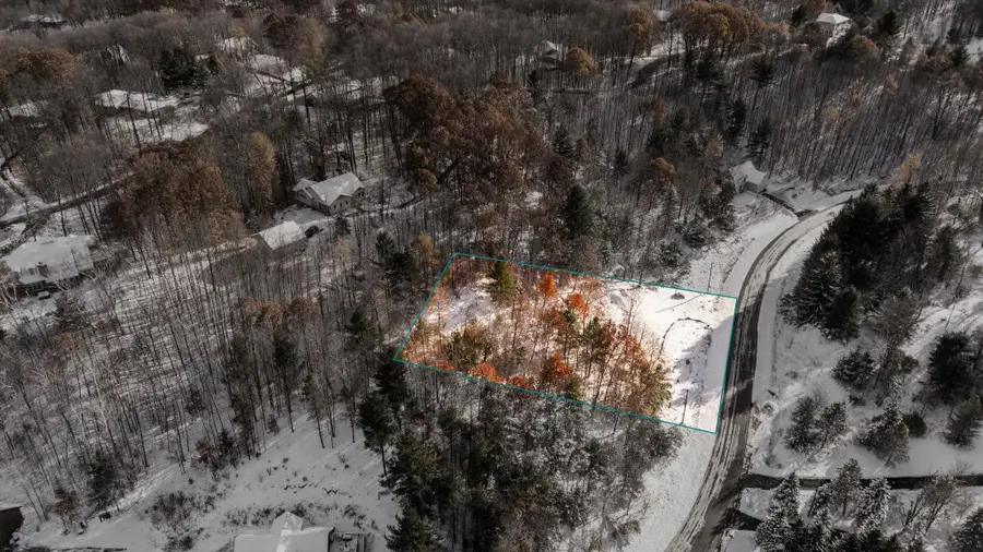 9394 E Hoxie, Cedar, MI 49621 - #3