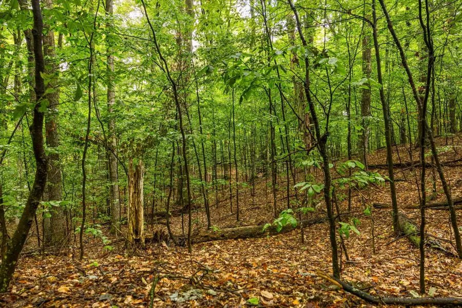 0 S Golden Valley, Empire, MI 49630 - #3