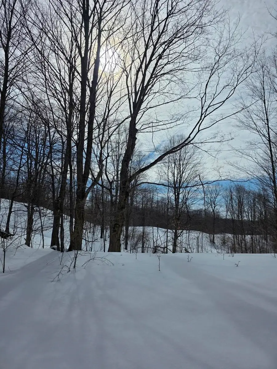 VL Ranch DR, Bellaire, MI 49615 - #3