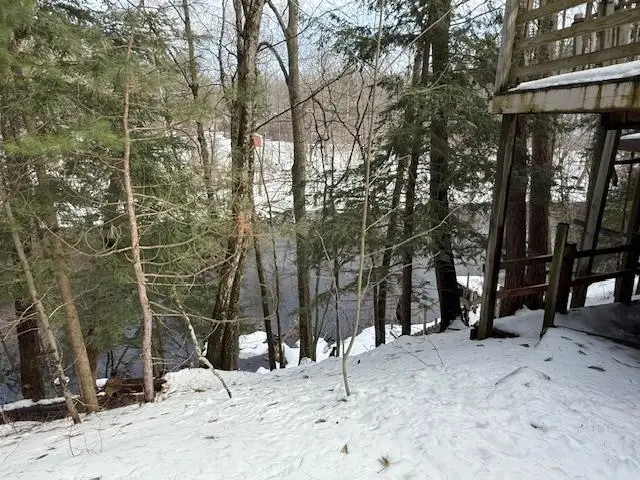 11628 White Pine, Manistee, MI 49660 - #2