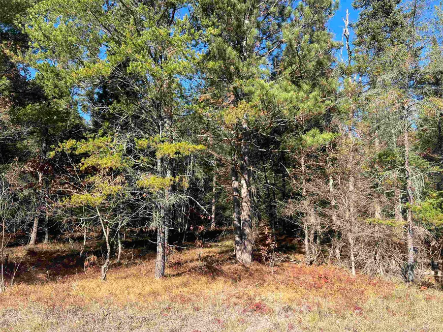0000 E North Down River, Grayling, MI 49738 - #3