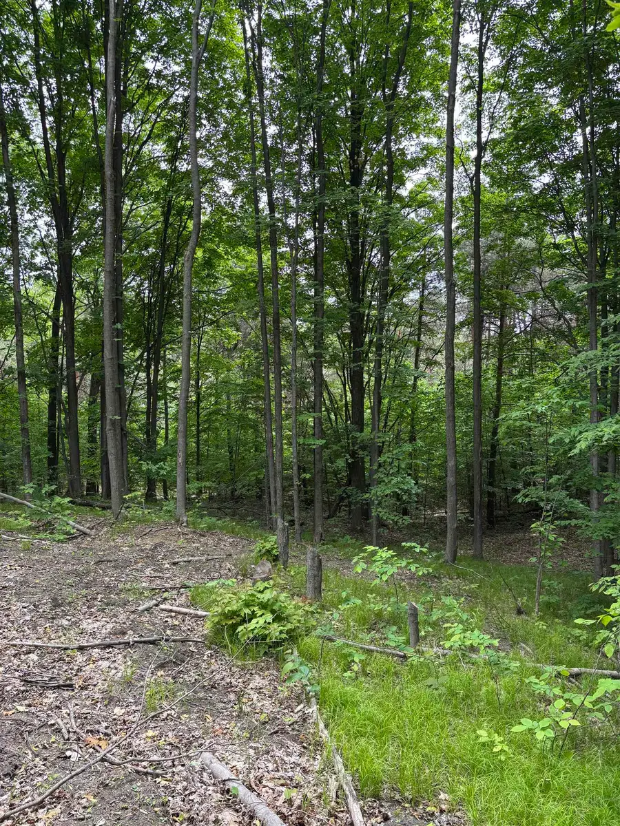 Parcel A N 45, Manton, MI 49663 - #3