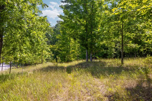 S Hill, Cedar, MI 49621