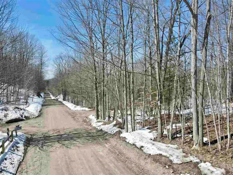 TBD Pesek, Wilson, MI 49727 - #2