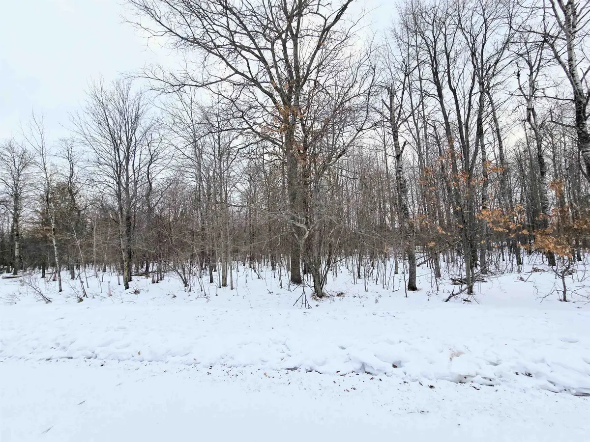 7 Fairway, Grayling, MI 49738 - #1