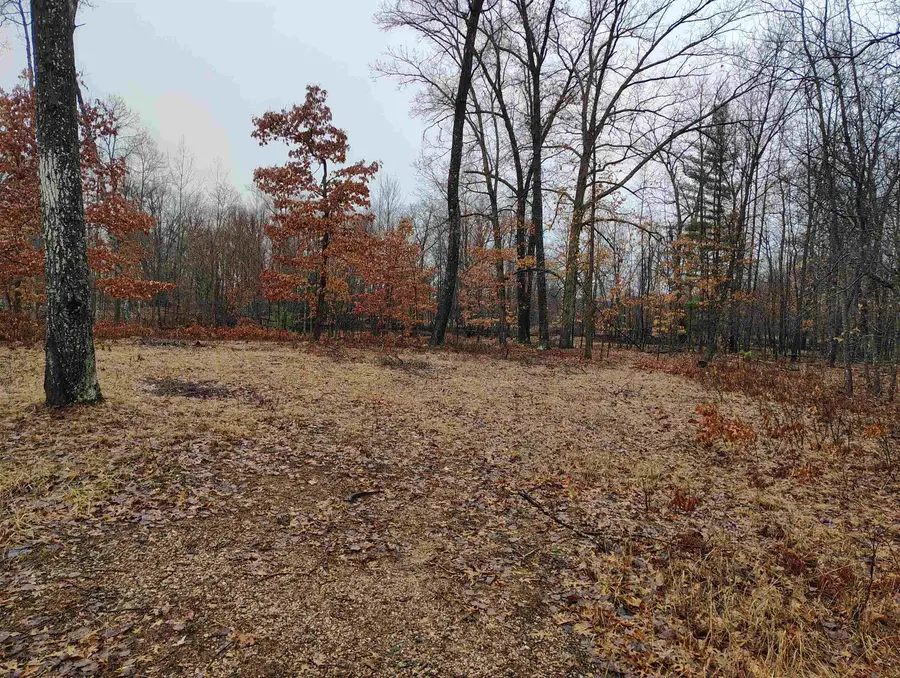 0000 Maple, Gladwin, MI 48624 - #3