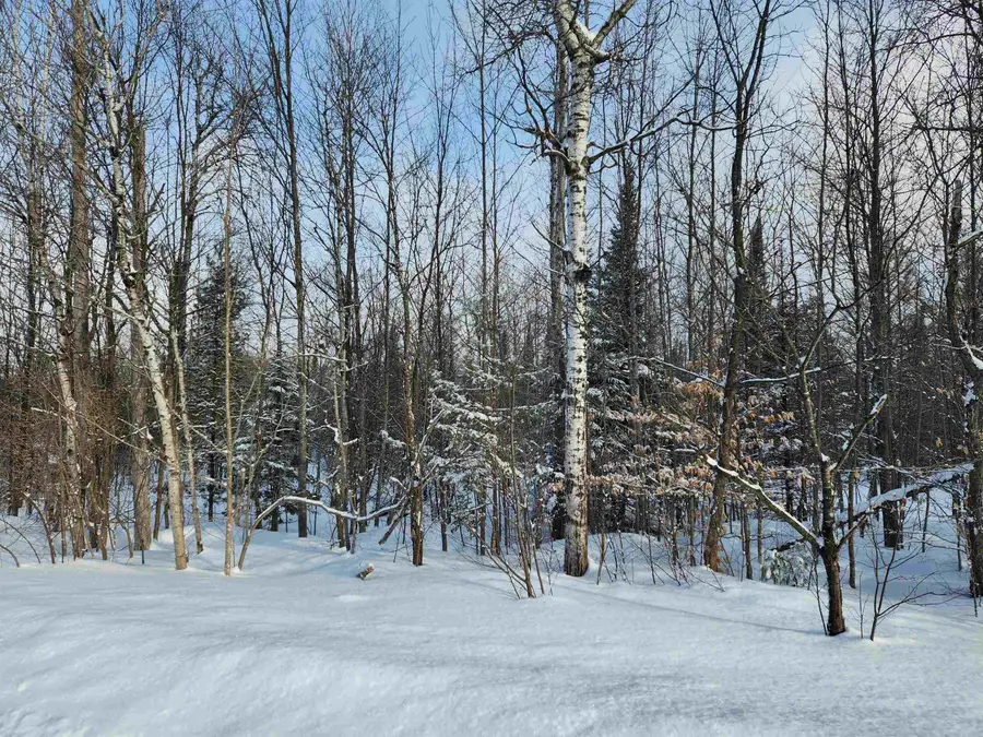 TBD Valley Road, Nw, Rapid City, MI 49676 - #2