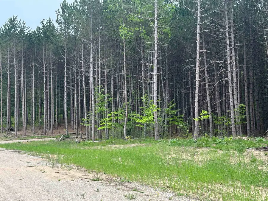 parcel B Theron, Long Lake, MI 49685 - #2