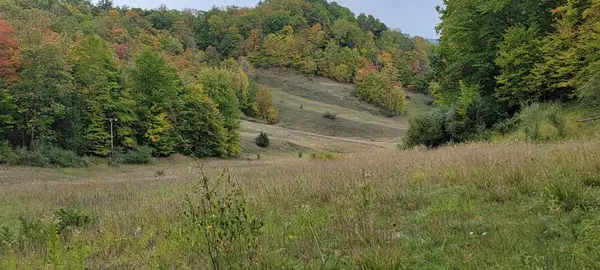 Lot A N Crossover, Bellaire, MI 49615