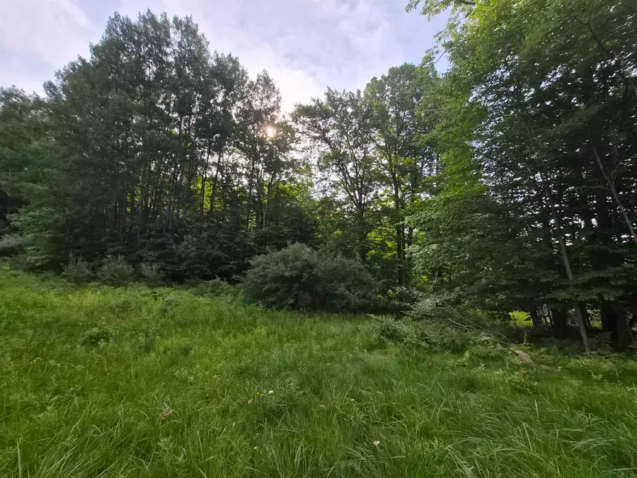 Lot A N Crossover DR, Bellaire, MI 49615 - #3