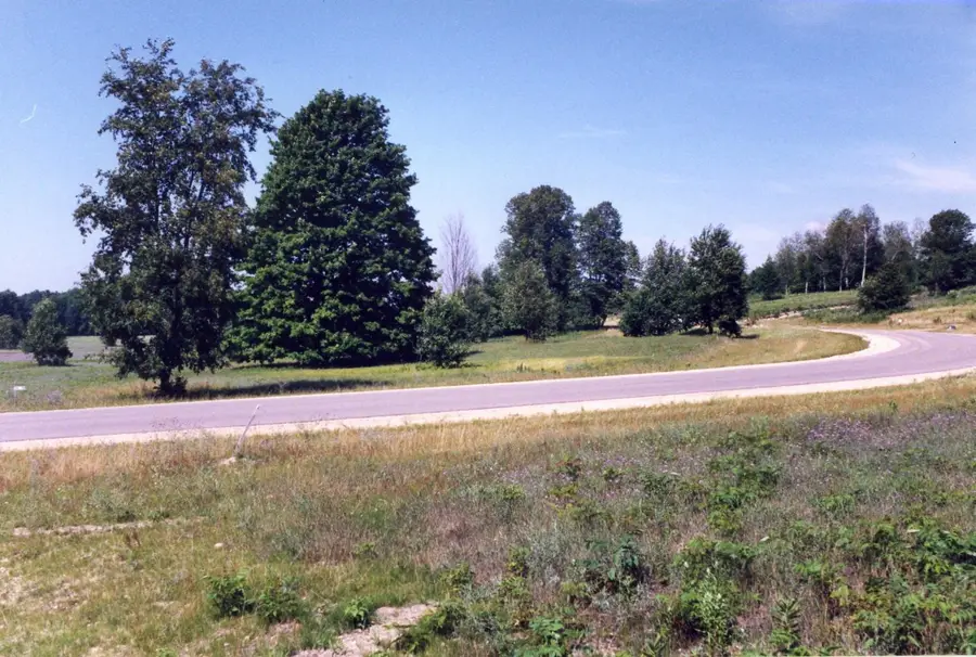 Lot 39 Alden, Alden, MI 49612 - #3