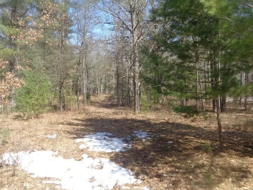 V/L 2 AC Martin, Roscommon, MI 48629 - #2