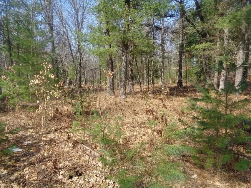 V/L 2 AC Martin, Roscommon, MI 48629 - #3