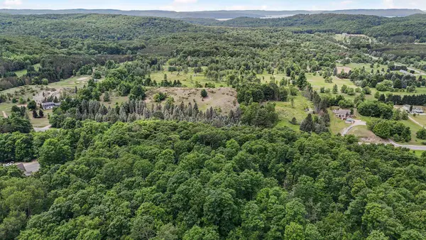 V/L S Coleman RD, MapleCity, MI 49664