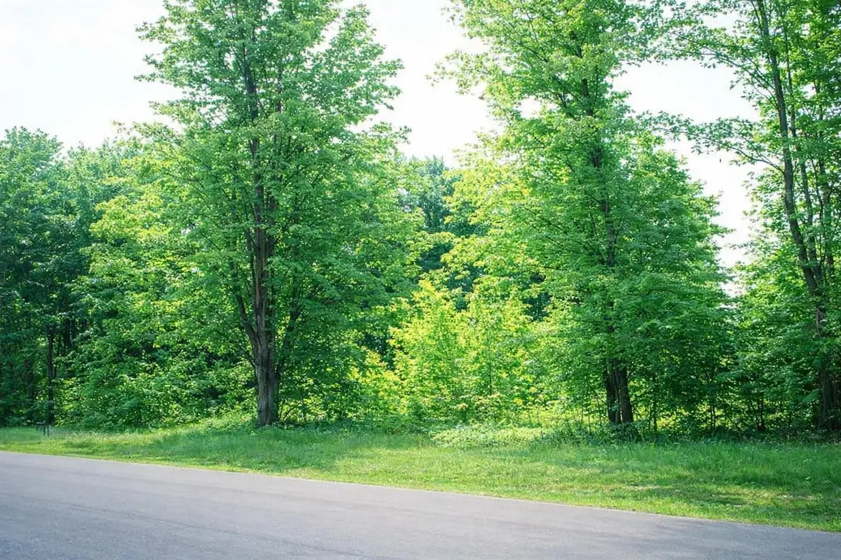 8886 Cedar Creek DR, Petoskey, MI 49770 - #1