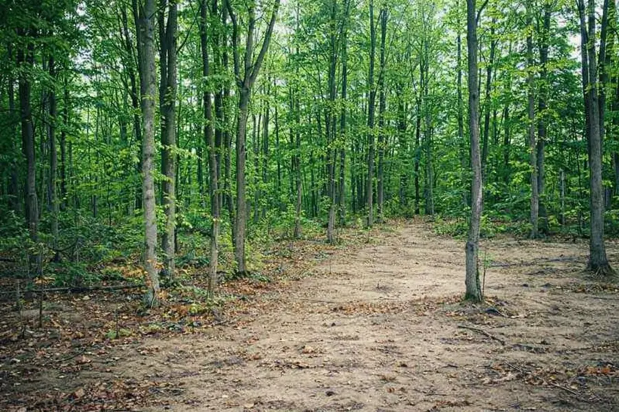 8904 Cedar Creek DR, Petoskey, MI 49770 - #3