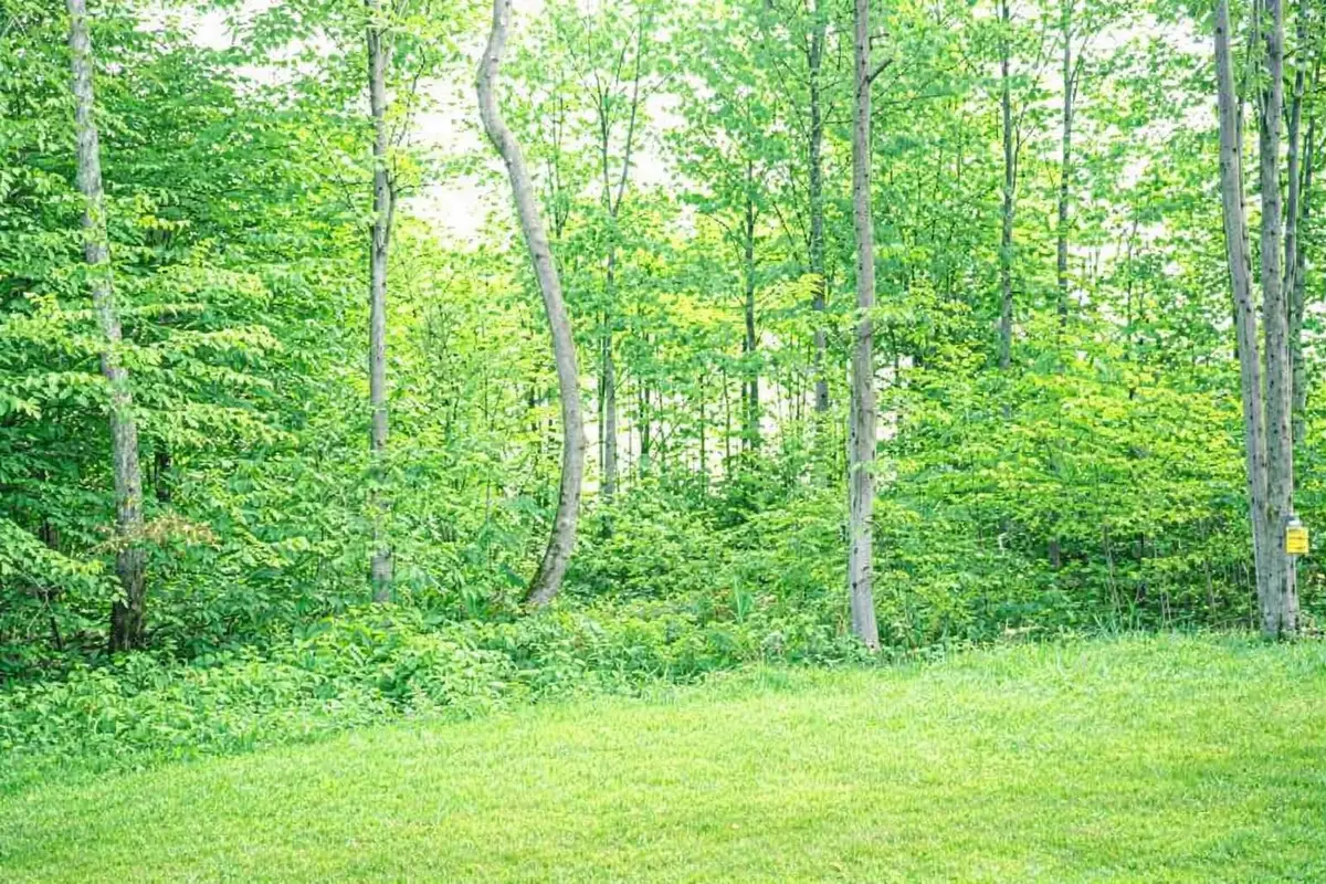 8922 Cedar Creek DR, Petoskey, MI 49770 - #1