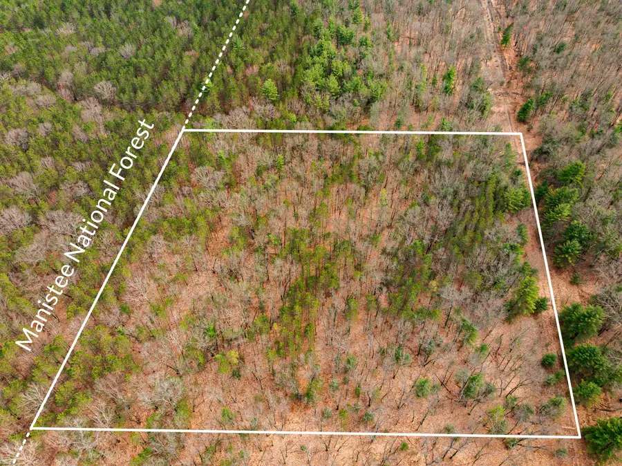 Maple, Brethren, MI 49619 - #3