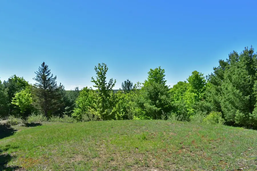 570 Michael, Chums Corner, MI 49685 - #3