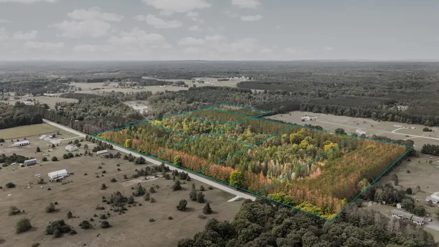 Maple City HWY, Almira, MI 49650 - #3