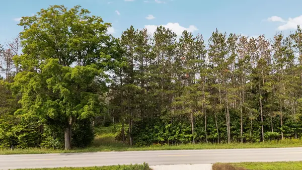 Maple City HWY, LakeAnn, MI 49650