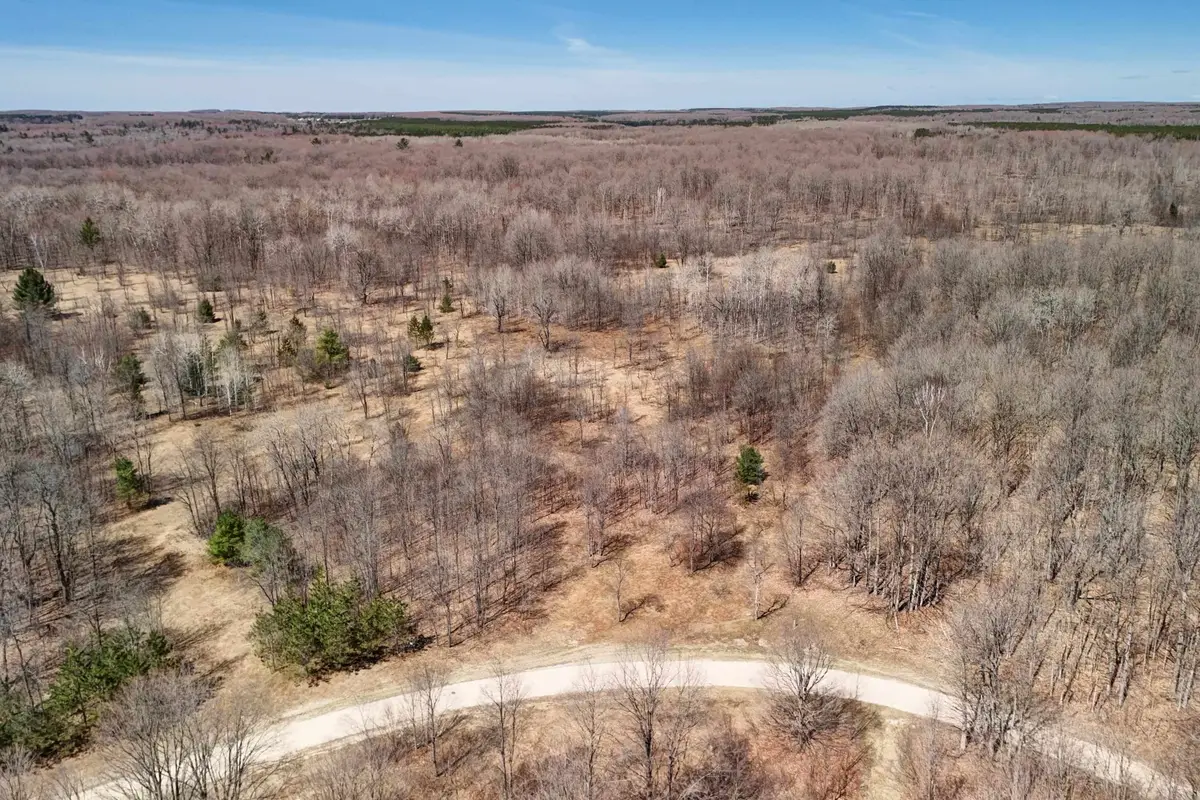 171 NE Kleehammer Club, Kalkaska, MI 49646 - #1
