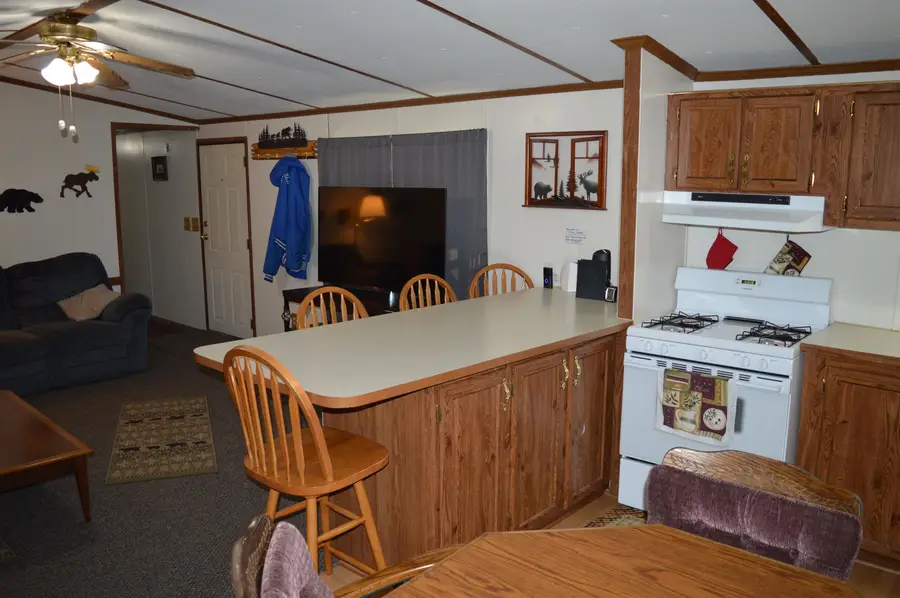 6017 NE Myers, Kalkaska, MI 49646 - #3