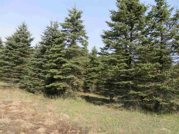 4 Spruce Hollow, FifeLake, MI 49633