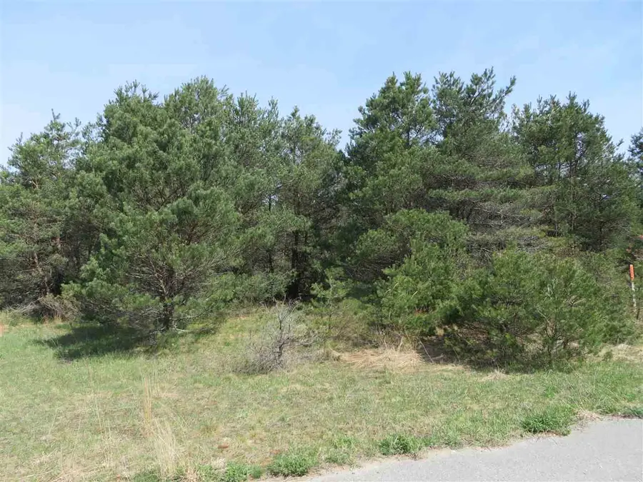 4 Spruce Hollow, Springfield, MI 49633 - #2