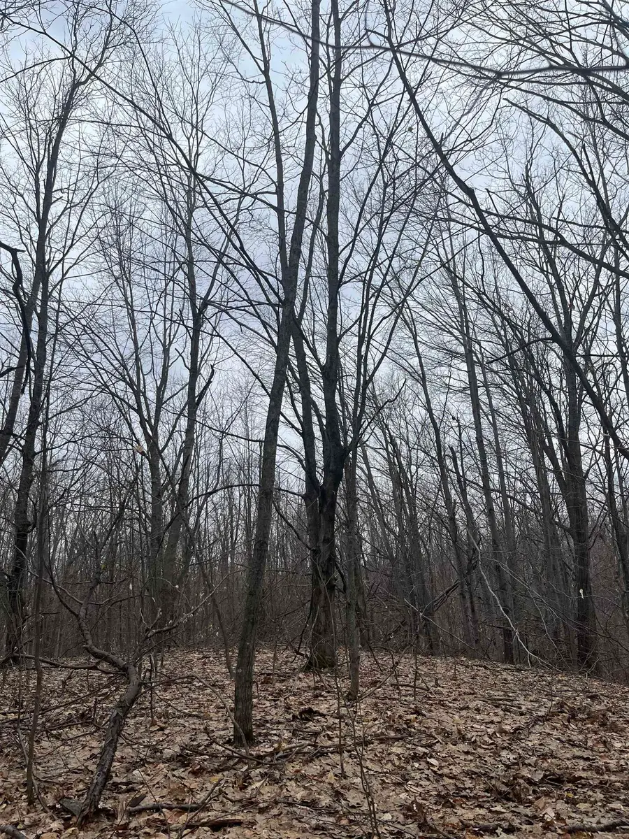 Deerfield TRL, Melrose, MI 49713 - #2
