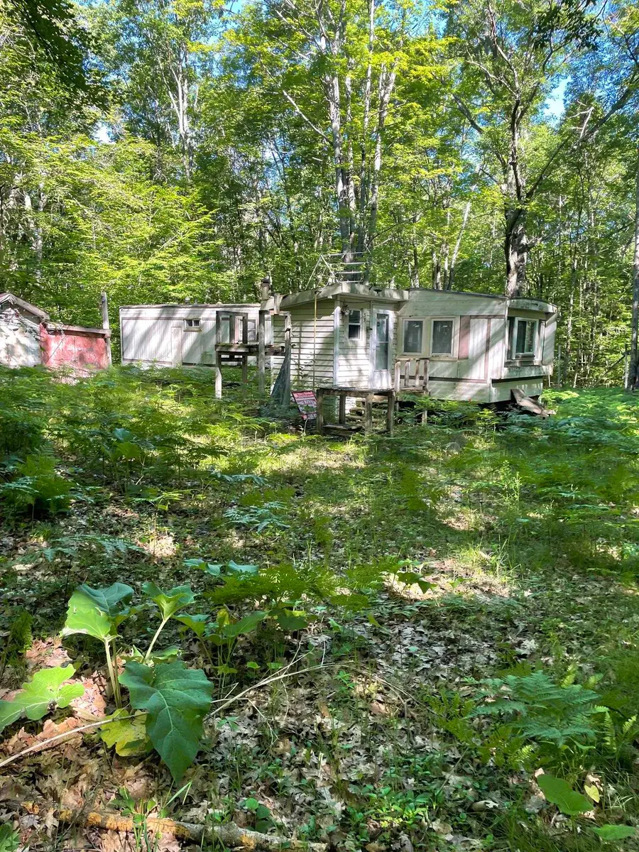 8895 Grandview, Pinora, MI 49677 - #3