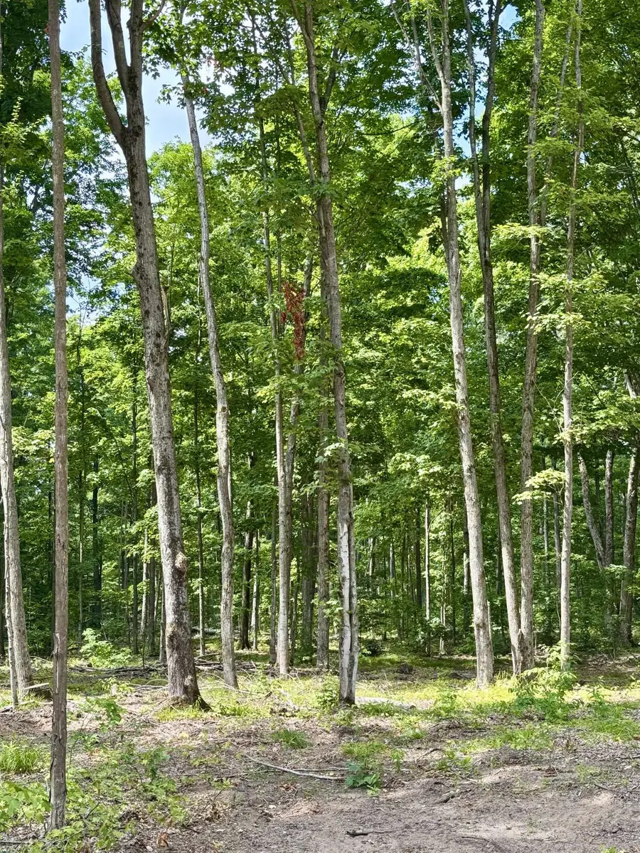 Lot 4 NE Manistee Ridge Drive NE, Kalkaska, MI 49646 - #3
