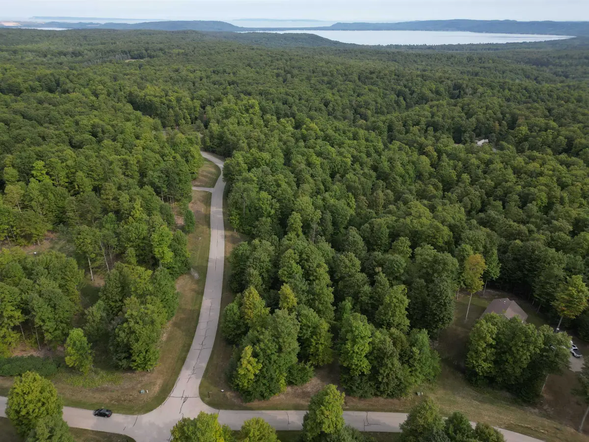 11 W Timber View TRL, Empire, MI 49630 - #1