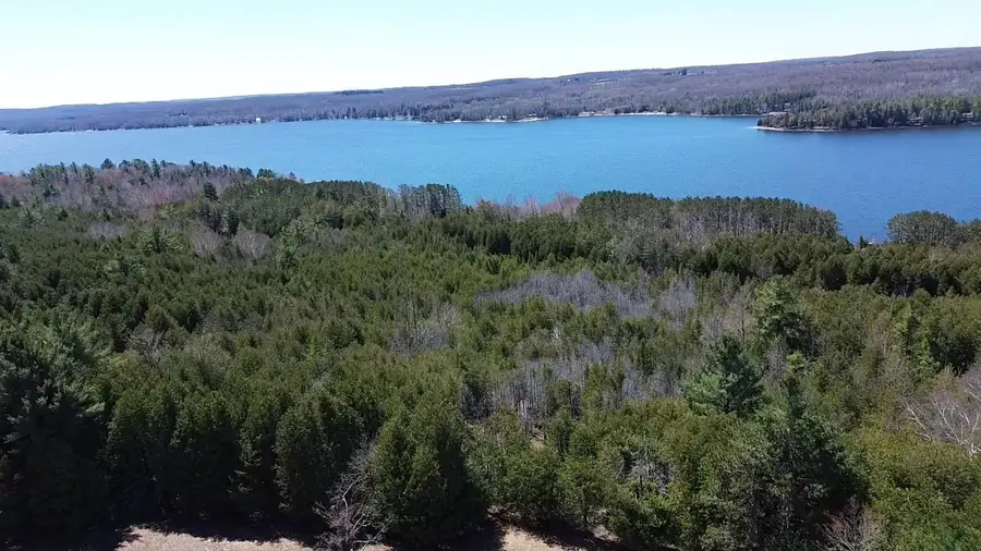 00 Ridge, Eveline, MI 49727 - #3