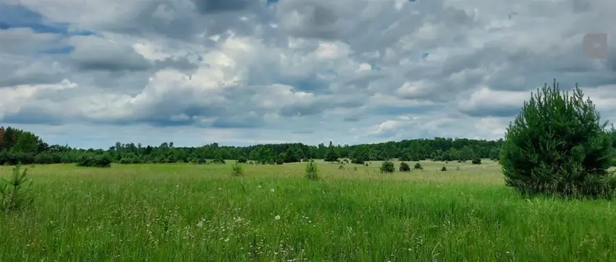 Lot F E Sparling, Kingsley, MI 49649 - #3