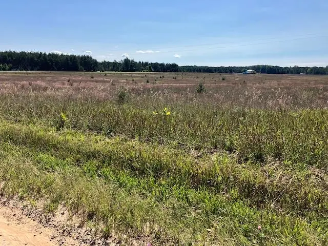 ***** Horseshoe TRL, Petoskey, MI 49770 - #1